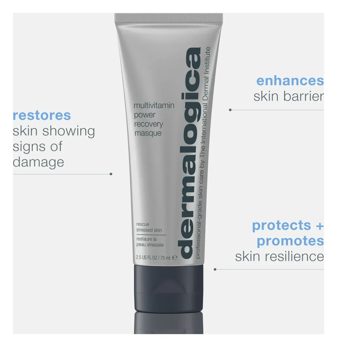 Dermalogica multivitamin power recovery masque