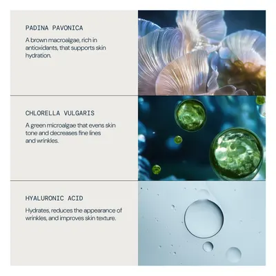Elemis Pro-Collagen Hydra-Gel Eye Masks, image 3