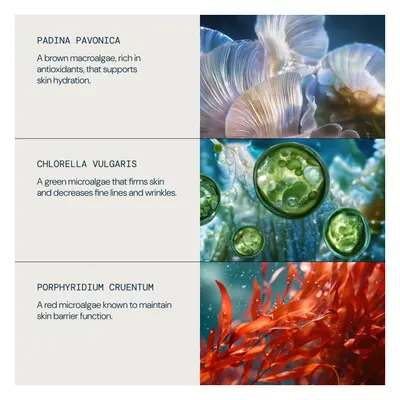 Elemis Pro-Collagen Marine Cream, image 5